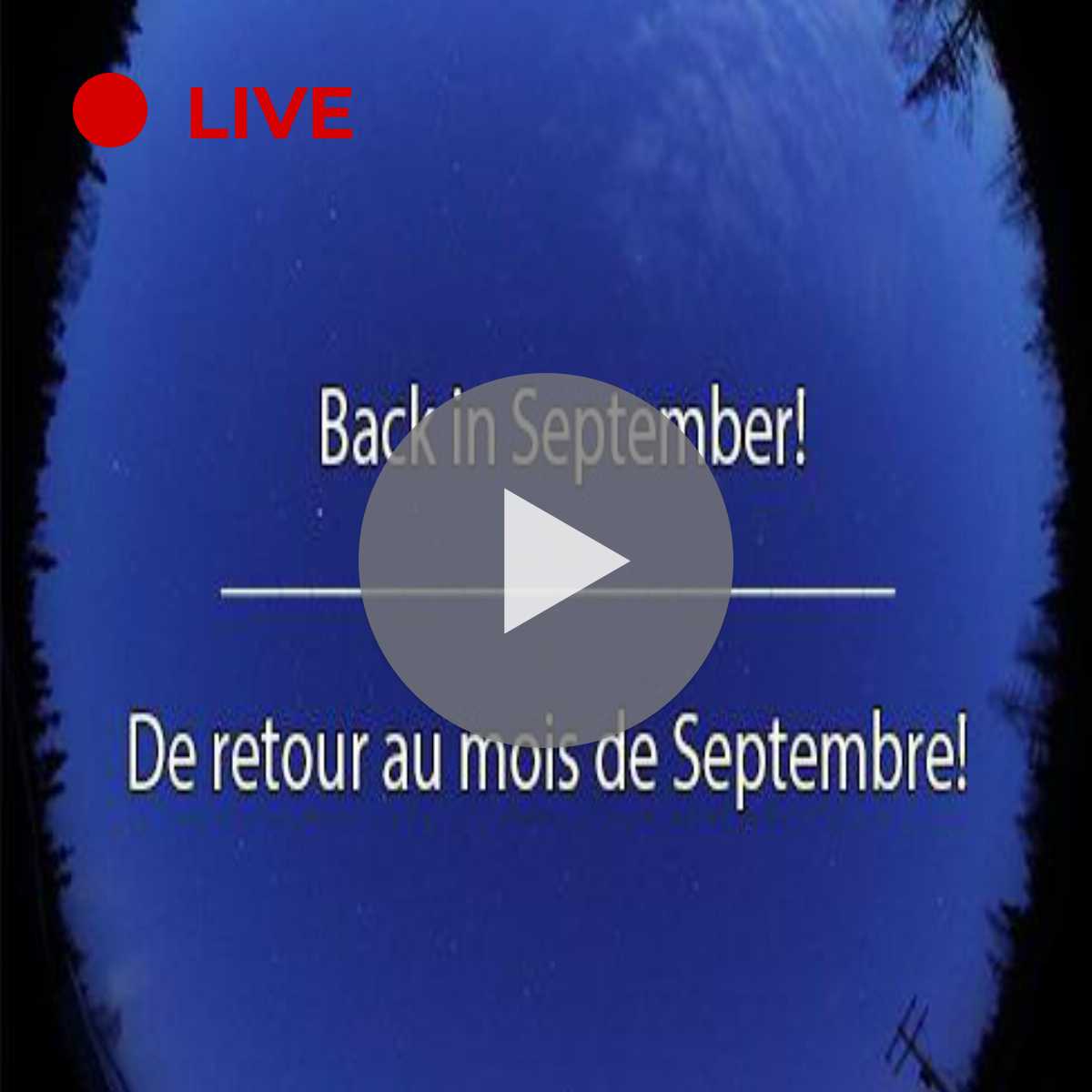 3 Best Yellowknife cams HD, Live 24/7